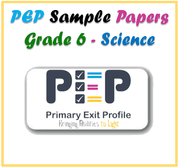 PEP Grade 6 Science Sample Paper